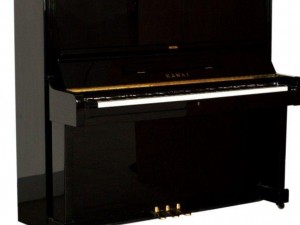 KAWAI-BL61